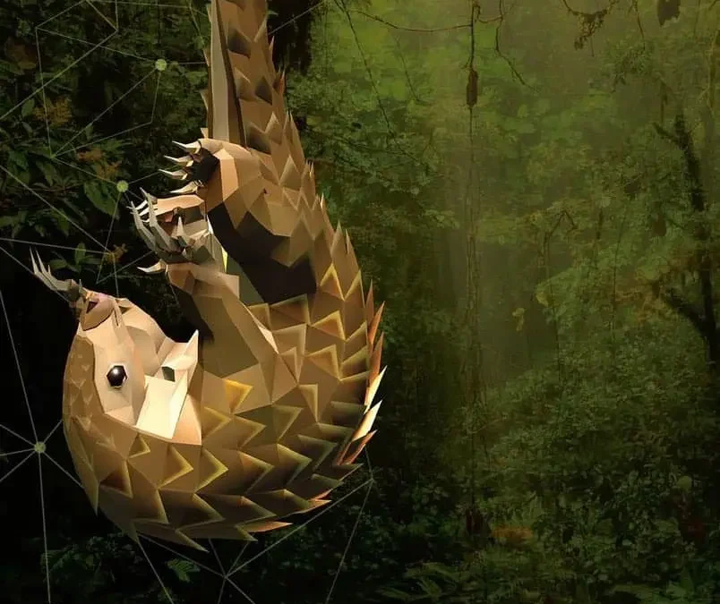 Google – Into The Wild