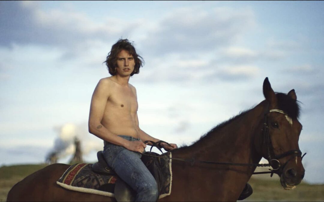 Grolsch – In search of the Unicorn